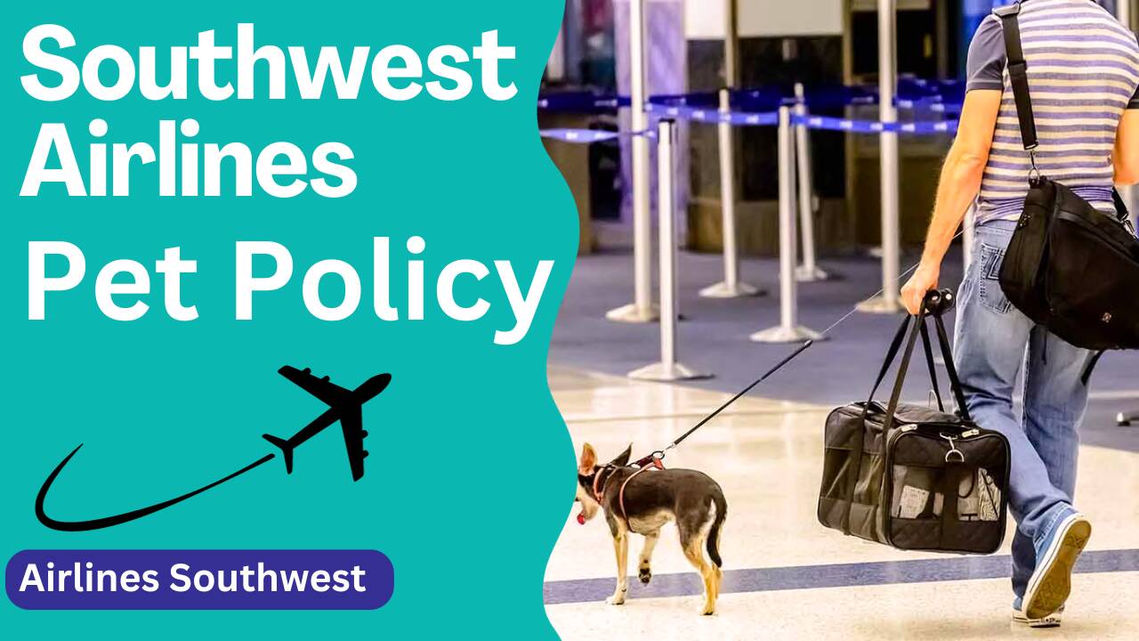 Southwest Airlines pet policy